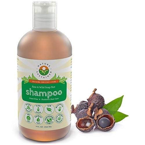 Natural Shampoo - Organic, Raw & Wildcrafted with Probiotics, Hypoallergenic Natural & Sulfate Free Shampoo for Sensitive Scalp, Dry Hair, Dandruff, Eczema & Psoriasis, 9oz, Original-FemmiqueWomen