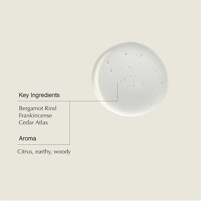 Aesop Shampoo | Soften Hair, Restore Shine | Bergamot Rind, Frankincense, Cedar Atlas | 16.9 oz / 500mL-FemmiqueWomen