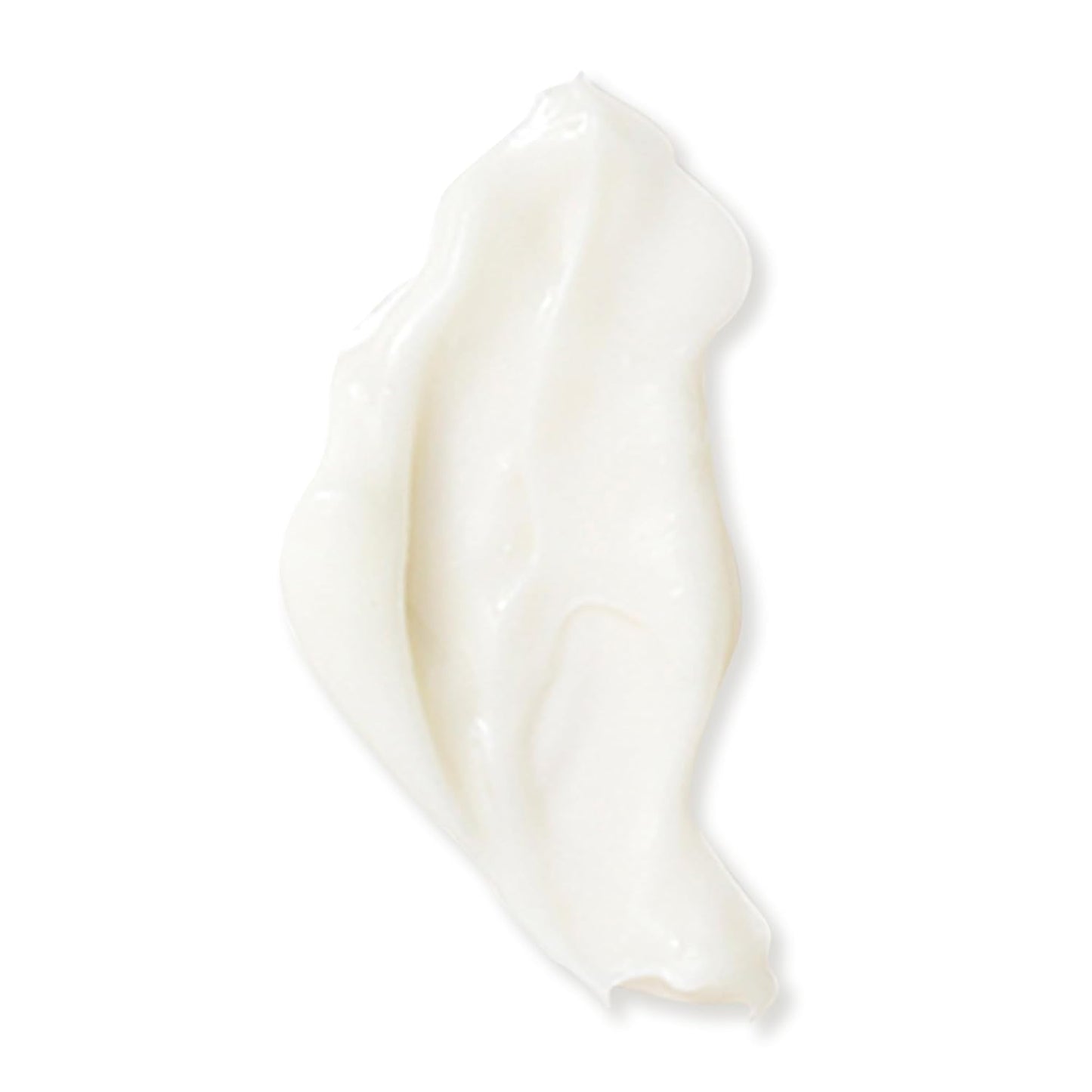 Naturopathica Beech Tree & Ginseng Replenishing Moisturizer, Hydrating and Firming Face Moisturizer, Antioxidant Rich Daily Face Lotion for Men and Women, 1.69 fl oz-FemmiqueWomen