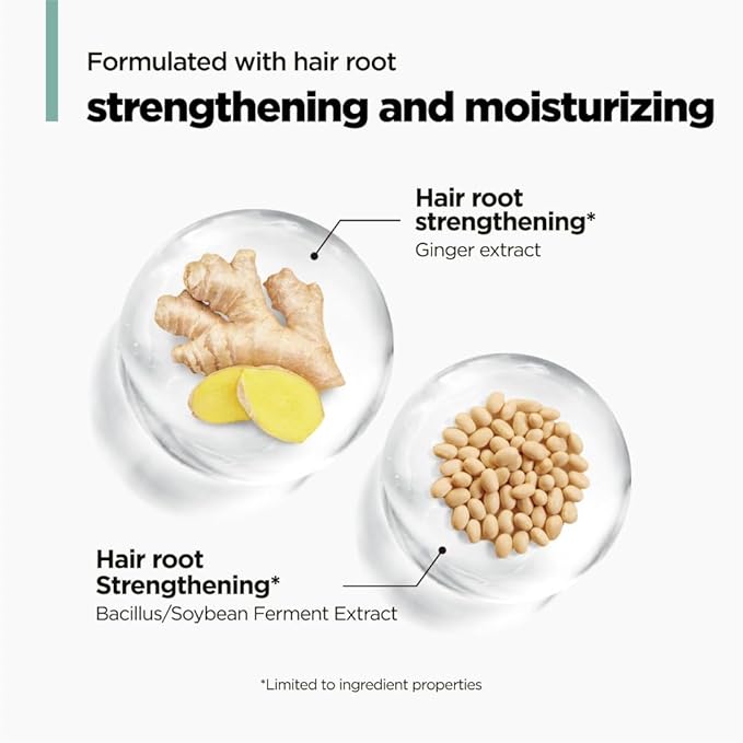 AMOS PROFESSIONAL The Green Tea Shampoo Refresh for Thinning Hair, Korean Shampoo for Oily Scalp l Deep Cleans, Strengthening Hair, All Hair Types, 16.9 fl.oz-FemmiqueWomen