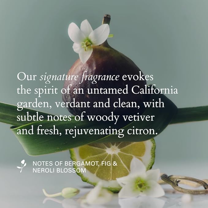 RŌZ Foundation Shampoo For All Hair Types & Textures | Hydrating, Balancing & Cleansing For Healthy Hair| Vegan, Color-Safe, Free of Silicone, Paraben, SLS | Strengthens & Nourishes 10.1 oz/300 mL-FemmiqueWomen