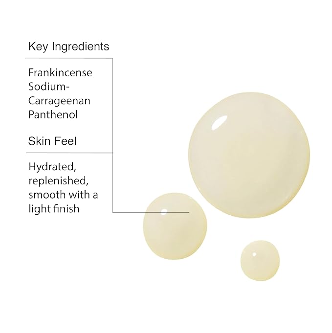 Aesop Geranium Leaf Body Cleanser + Scrub | 16.9 oz + 6.2 oz-FemmiqueWomen