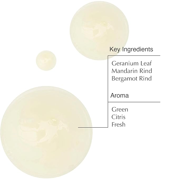 Aesop Geranium Leaf Body Cleanser | Non-drying Gentle Cleanser | Geranium Leaf, Mandarin Rind, Bergamot Rind | 16.9 oz / 500mL (Pack of 3)-FemmiqueWomen