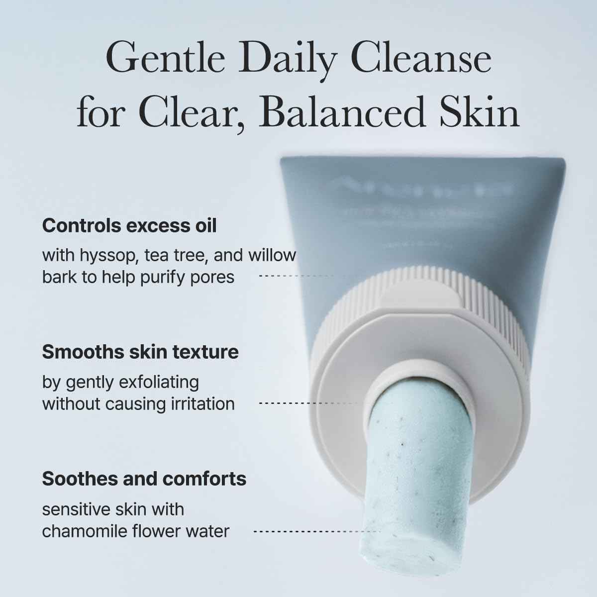 Hyssop Sebum Control Rice Cake Cleanser, 5.29 oz, AHA Tea Tree Face Wash for Oily Combination Skin-FemmiqueWomen