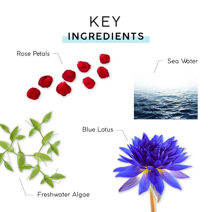 MyChelle Dermaceuticals Ultra Hyaluronic Hydrating Cream (1.0 Fl Oz) - Rich Hydration for Dry Skin with Vegan Hyaluronic Acid, Help Plump Skin and Help Reduce Appearance of Fine Lines and Wrinkles-FemmiqueWomen