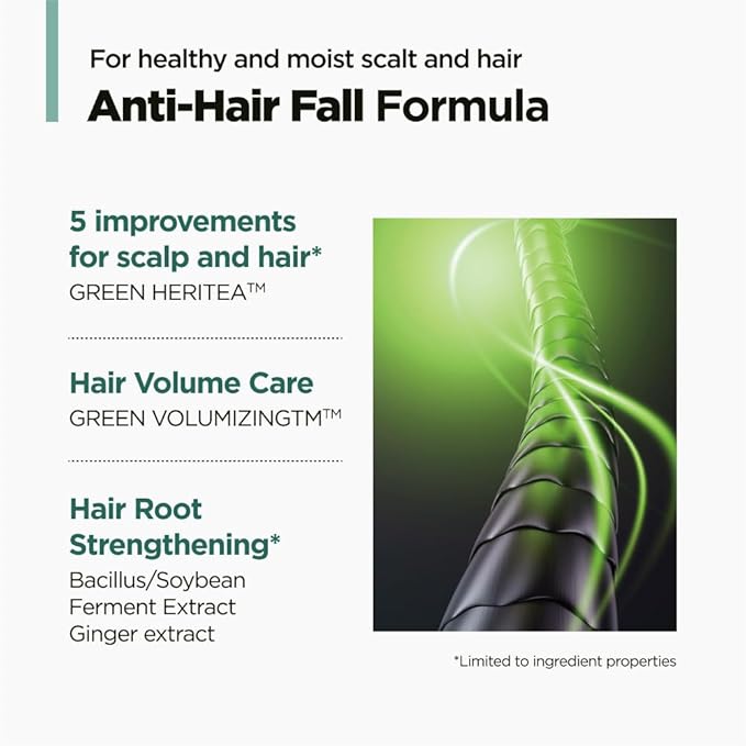 AMOS PROFESSIONAL The Green Tea Shampoo Refresh for Thinning Hair, Korean Shampoo for Oily Scalp l Deep Cleans, Strengthening Hair, All Hair Types, 16.9 fl.oz-FemmiqueWomen