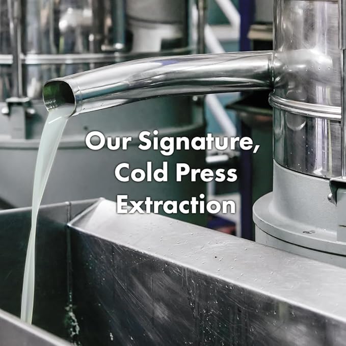 RATED GREEN Real Shea Cold Press Nourishing Shampoo w. Sunflower Seed Oil | Vitamin E | Deep Moisture & Soothing Care for Dry, Damaged Hair | Silicone-Free, Korean Vegan Formula | 13.52 fl oz-FemmiqueWomen