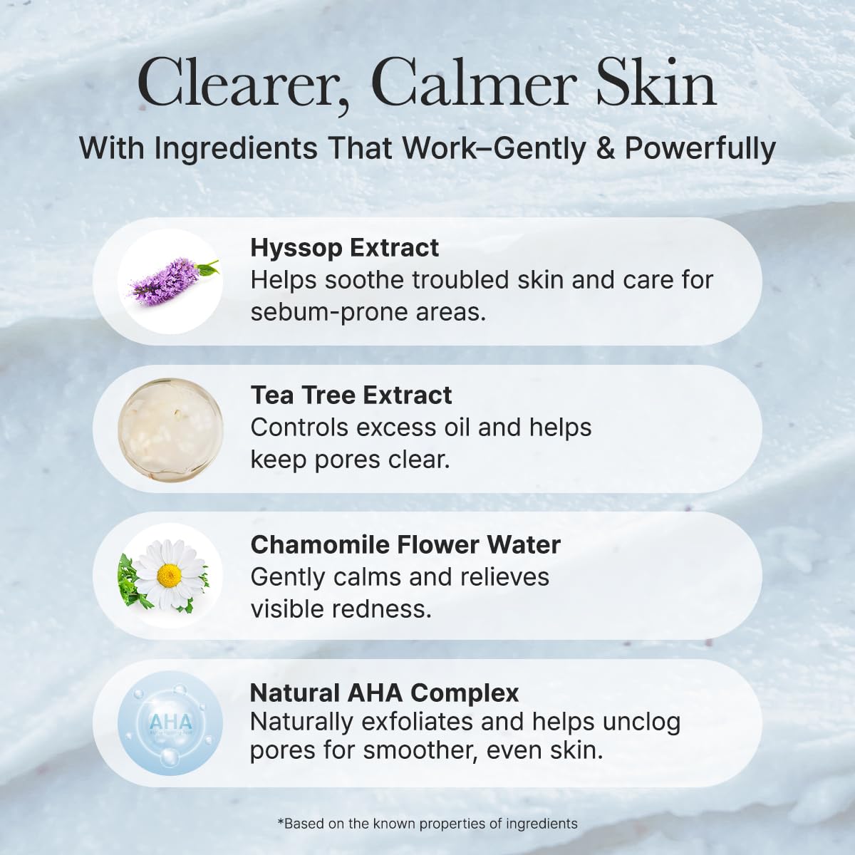 Hyssop Sebum Control Rice Cake Cleanser, 5.29 oz, AHA Tea Tree Face Wash for Oily Combination Skin-FemmiqueWomen