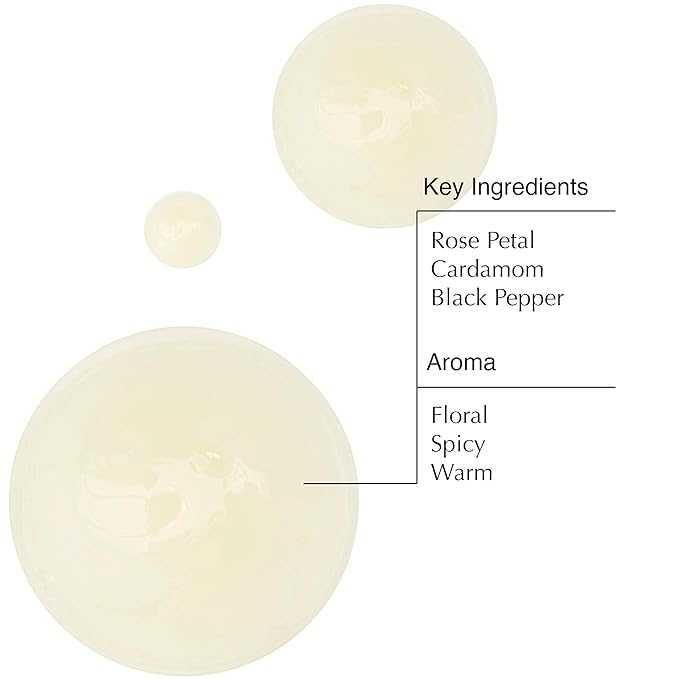 Aesop A Rose By Any Other Name Body Cleanser | Gentle Body Cleanser with Rose Petal Oil & Skin-Softening Botanicals | 16.9 oz / 500mL-FemmiqueWomen