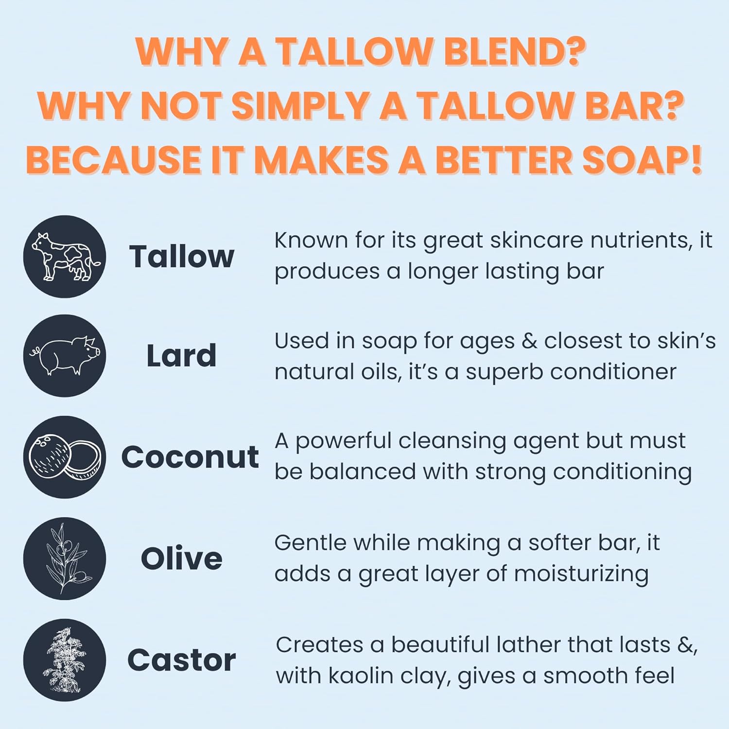 Real American Soap (Variety Bundle, 3 Pack) – Natural Bar Soap Made with Grass-Fed Tallow, Conditioning Lard, & Pure Coconut Oil – Unscented, Charcoal & Tea Tree Oil, & Lavender Goat Milk-FemmiqueWomen