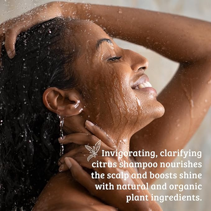 Pharmacopia Citrus Shampoo - Natural Hair Care with Plant Based & Organic Ingredients Aloe Vera, Jojoba Oil, Coconut Oil, and Chamomile Extract - Vegan, Cruelty Free, No Parabens or Sulfates, 16 oz-FemmiqueWomen
