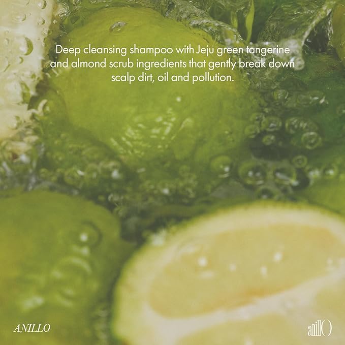 Lime Sunday Refresh Shampoo with Vitamin C, Korean Jeju Tangerine, Mint & Almond Powder for Oily Scalp Care – Exfoliating, Deep Cleansing, Lime Citrus Scent, Silicone & Paraben-Free (15.22 fl.oz)-FemmiqueWomen