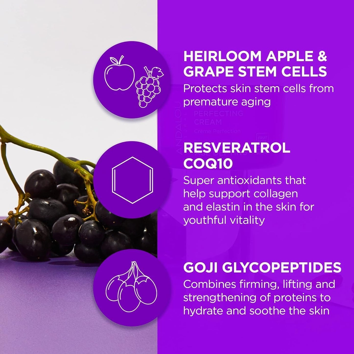 Andalou Naturals Goji Peptide Perfecting Cream, Age Defying Face Cream, Resveratrol CoQ10 Face Moisturizer, Supports Skin Collagen and Elastin & Helps Fight Fine Lines & Wrinkles, 1.7 fl oz-FemmiqueWomen