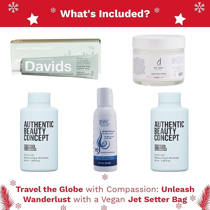 Jet Setter's Selfcare Essentials - Vegan Beauty Set Gift for Women - On-the-Go Skincare And Vacation Beauty Essentials - Compact Travel Size Beauty Products Gift Set - Great Christmas Gift for Her-FemmiqueWomen