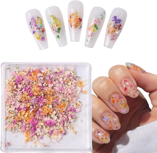 1 Boxes Dried Flowers for Nail Art,Colorful Dry Flowers Mini Real Natural Flowers Nail Stickers DIY Mini Mix Flower Petals Nail Art Supplies for Summer Acrylic Nails Design Manicure Accessories-FemmiqueWomen