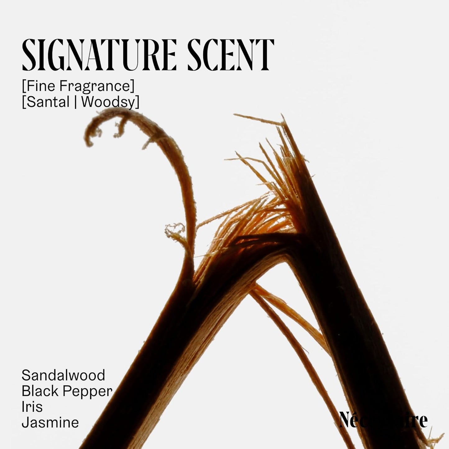 Nécessaire The Body Wash - Collection Set. Self Care Gifts for Women + Men, 4x Travel Size Skin Care Set, Natural Body Wash for Women + Men. With Vitamins + Niacinamide. Gel Cleanse, 3.4 fl oz.-FemmiqueWomen