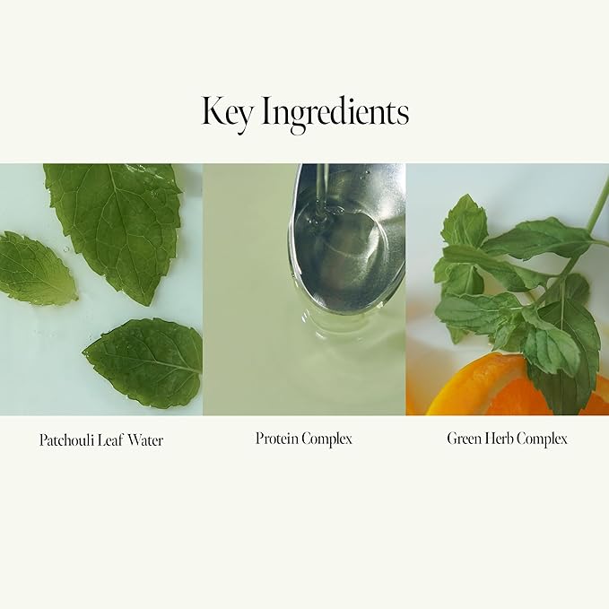 Patchouli Garden Damage Repair Shampoo - Korean Hair Care Nourishing Shampoo for Men & Women w/Patchouli Leaf Water, Protein Complex & Green Herb Complex - Vegan Scalp Cleanser (15.22 fl.oz)-FemmiqueWomen