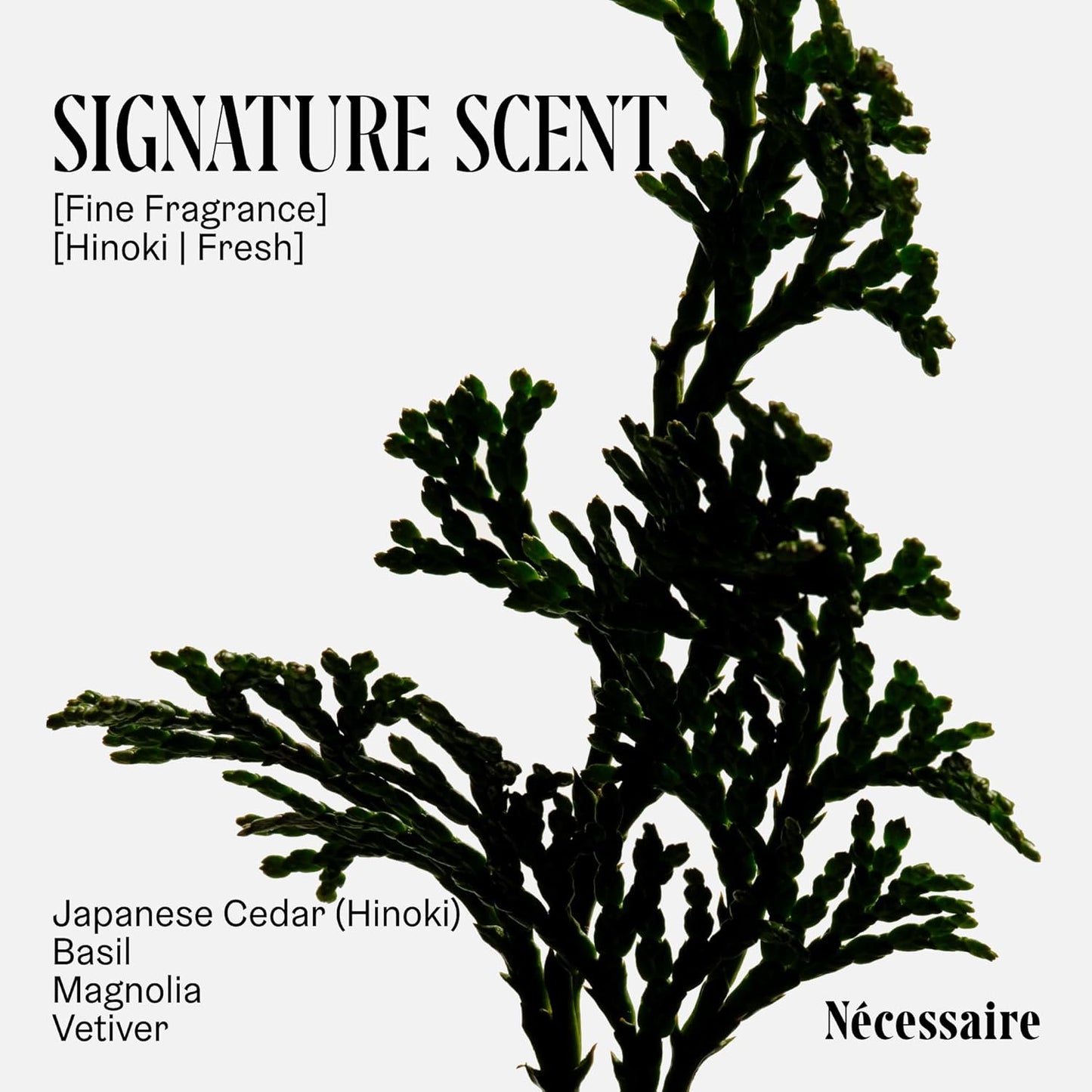 Nécessaire The Body Wash - Collection Set. Self Care Gifts for Women + Men, 4x Travel Size Skin Care Set, Natural Body Wash for Women + Men. With Vitamins + Niacinamide. Gel Cleanse, 3.4 fl oz.-FemmiqueWomen