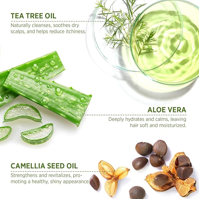 Roycederm Tea Tree Antifungal Shampoo and Conditioner: Complete Scalp Care Solution for Folliculitis, Dry, Itchy, and Flaky Scalp - Infused with Tea Tree Oil, Paraben & Sulfate Free-FemmiqueWomen