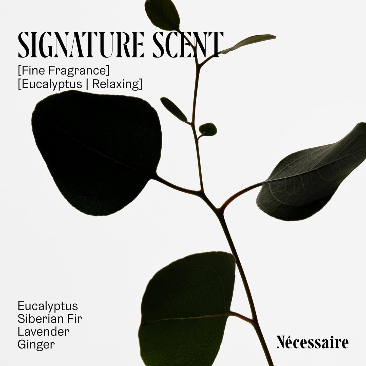 Nécessaire The Body Wash - Collection Set. Self Care Gifts for Women + Men, 4x Travel Size Skin Care Set, Natural Body Wash for Women + Men. With Vitamins + Niacinamide. Gel Cleanse, 3.4 fl oz.-FemmiqueWomen