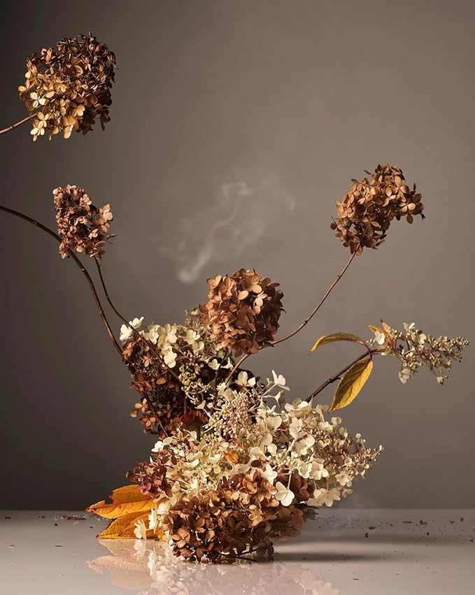 Homecourt Hand Wash, Gently Cleanses & Hydrates, Removes Dirt & Debris Without Irritating Skin, Clean Formula, Cece, 12 fl oz-FemmiqueWomen