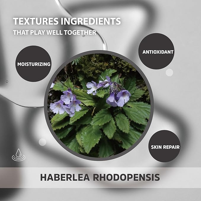 Haberlea Face Mist – Natural Rose-Scented, Alcohol-Free Facial Spray for All-Day Hydration & Pre-Makeup Use – Soothing Toner Mist for Dry, Sensitive Skin – Made in Taiwan – 100ml-FemmiqueWomen