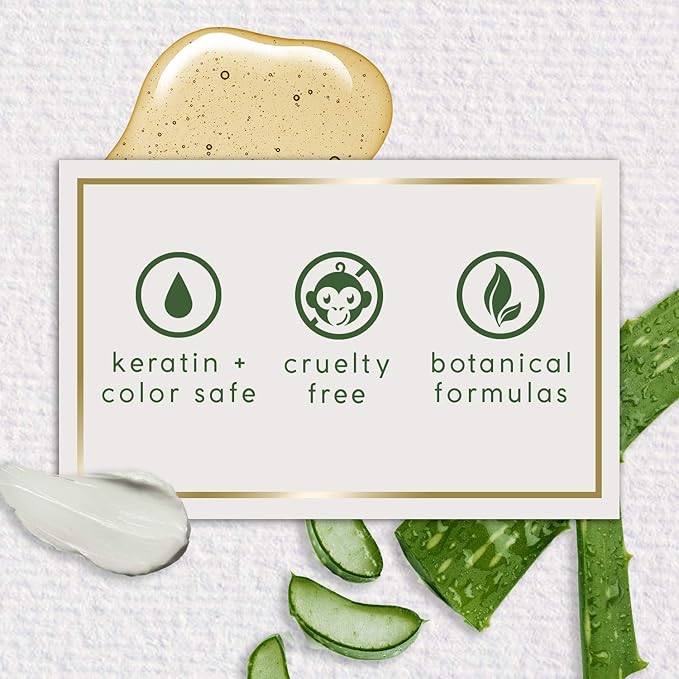 Theorie Amber Rose Hydrating Shampoo- Refresh & Hydrate, Irresistible Scent of Rose, Jasmine & Amber, Suited for All Hair Types-Color & Keratin Treated Hair, 400ML-FemmiqueWomen