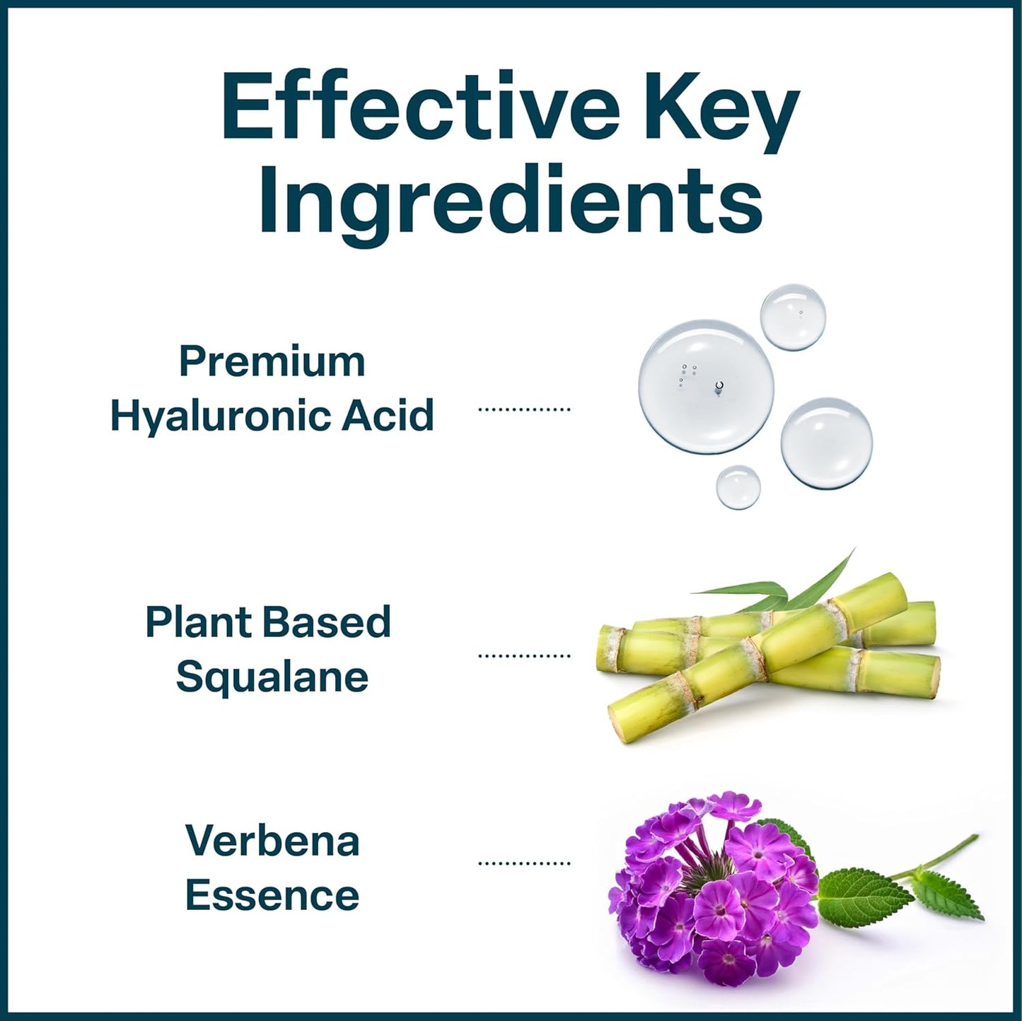 QRxLabs Plant-Based Squalane Face Moisturizer - 2 fl oz (60 mL) - Hyaluronic Acid Hydrating Cream for Face & Body - Moisturizing Cream with Vitamin B5 & Rice Protein - Silicone-Free Cruelty-Free-FemmiqueWomen