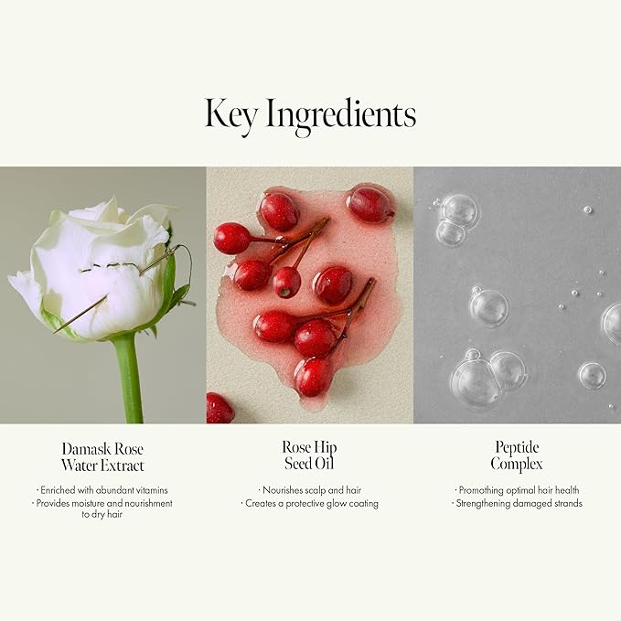 Rosy Night Repair Shampoo – Anti-Dandruff & Damage Repair with Damask Rose Water & Ceramide – Color Safe, Silicone & Sulfate Free (15.22 fl. Oz)-FemmiqueWomen