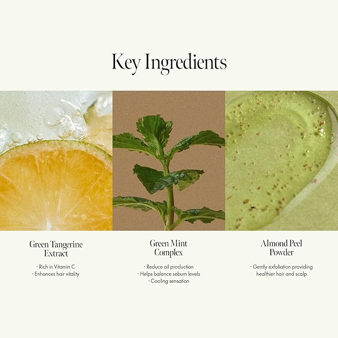 Lime Sunday Refresh Shampoo with Vitamin C, Korean Jeju Tangerine, Mint & Almond Powder for Oily Scalp Care – Exfoliating, Deep Cleansing, Lime Citrus Scent, Silicone & Paraben-Free (15.22 fl.oz)-FemmiqueWomen