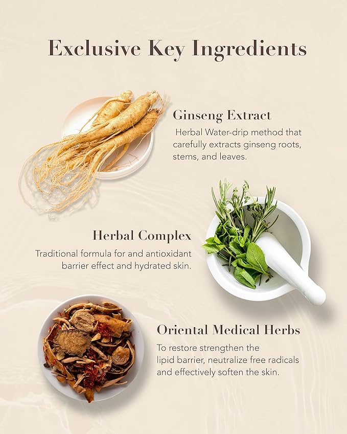 Sooryehan BON Extra Moisture Cream (1.7fl oz) - Premium Skin Moisturizer for Skin Barrier Night Repair, Red Ginseng | Korean Skincare-FemmiqueWomen