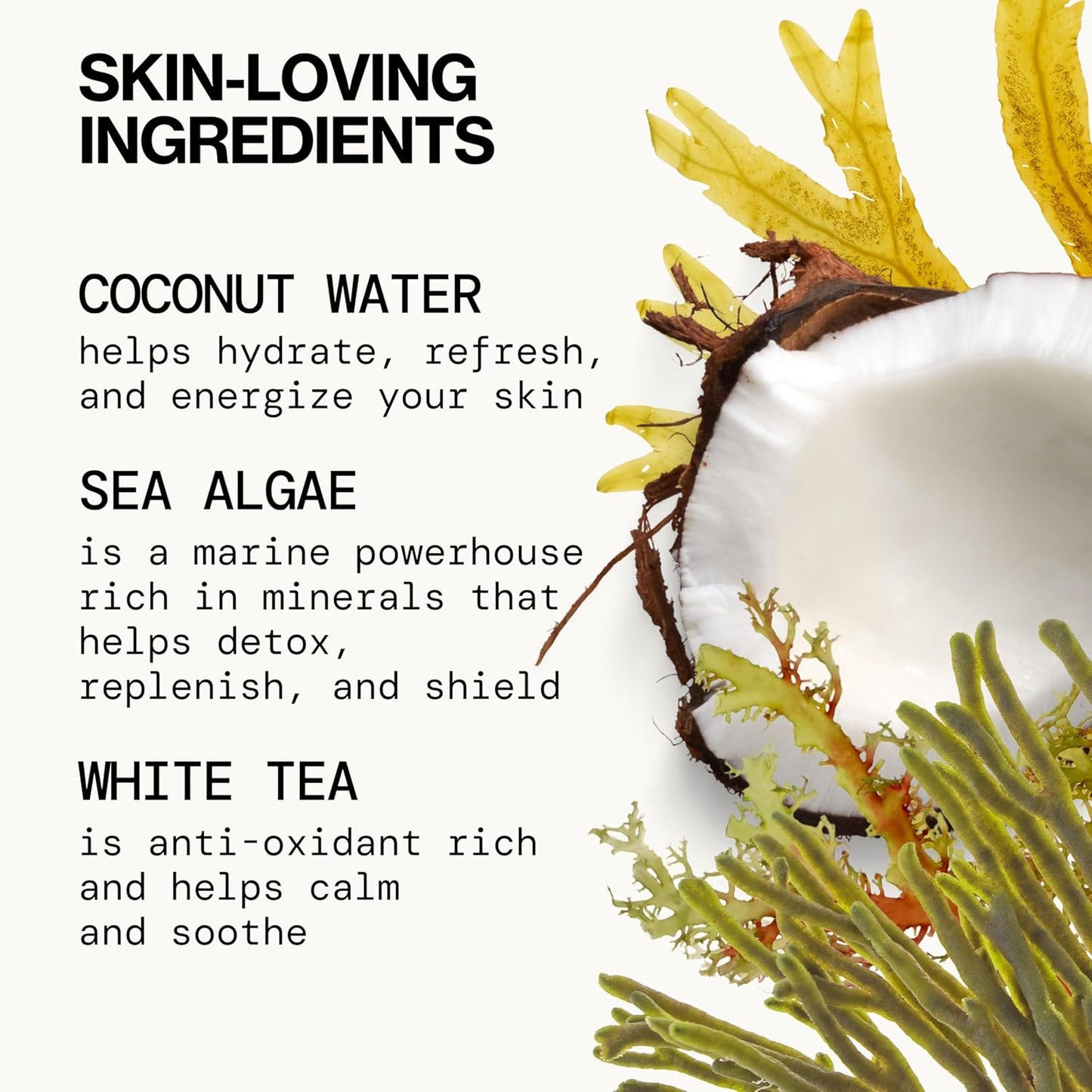 Pacifica Beauty Sea Foam Face Cleanser, Daily Gentle Foaming Face Wash, With Coconut Water + Sea Algae Complex, Removes Makeup, For Combination and Oily Skin, Vegan and Cruelty Free, Clean Skin Care-FemmiqueWomen