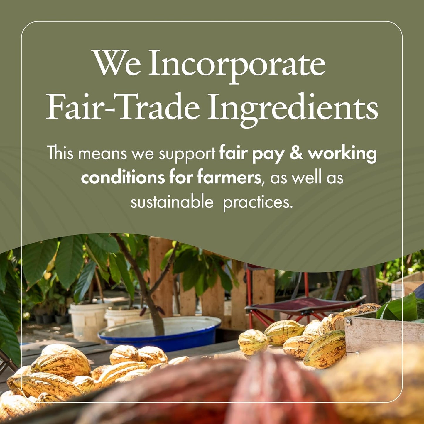 emerginC Scientific Organics Kombucha Cleanser - Nutrient Powerhouse Face Wash with Aloe Vera + Plant Stem Cells to Help Visibly Improve Skin Tone + Texture (4 oz, 120 ml)-FemmiqueWomen