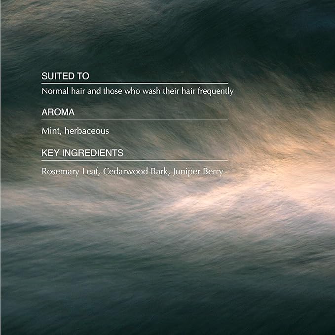 Aesop Classic Shampoo | Gentle Formulation | Leaves Hair Shiny, Soft, Freshened | Rosemary Leaf, Cedarwood Bark, Juniper Berry | 16.9 oz / 500mL-FemmiqueWomen