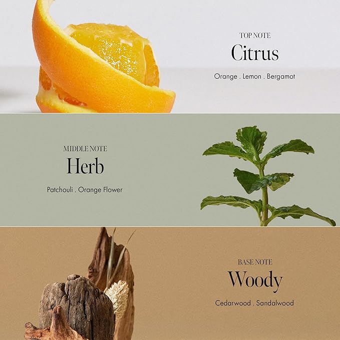 Patchouli Garden Damage Repair Shampoo - Korean Hair Care Nourishing Shampoo for Men & Women w/Patchouli Leaf Water, Protein Complex & Green Herb Complex - Vegan Scalp Cleanser (15.22 fl.oz)-FemmiqueWomen