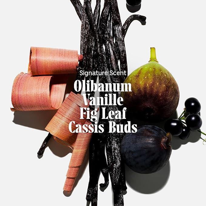 Nécessaire The Body Wash Olibanum. Natural Body Wash for Women + Men. Radiance Cleanse. Multi-Enzyme Gel Cleanser for Dull Skin. Notes of Vanilla, Fig Leaf, and Cassis Buds. 16.9 Fl Oz.-FemmiqueWomen