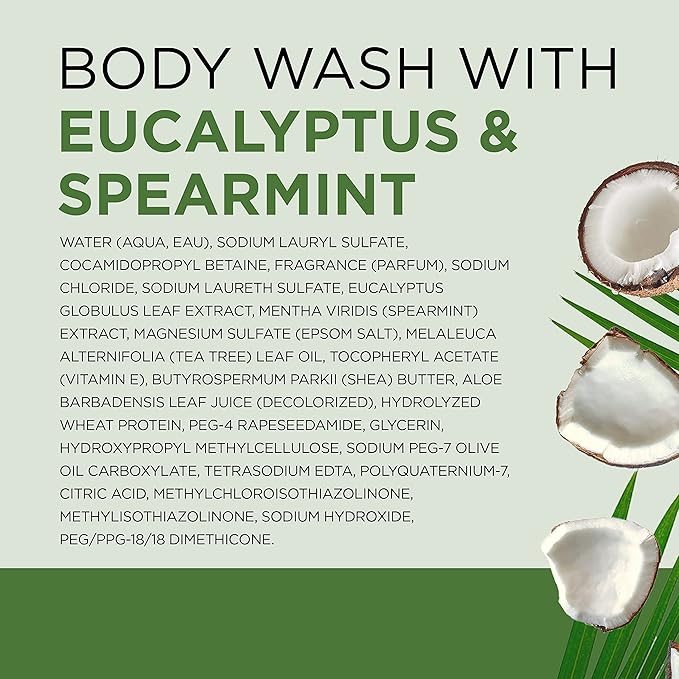 Dr Teal's Body Wash with Pure Epsom Salt, Relax & Relief with Eucalyptus & Spearmint, 24 fl oz (Pack of 4) (Packaging May Vary)-FemmiqueWomen