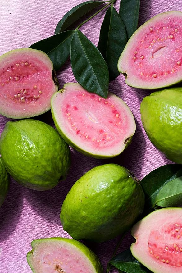 KORRES Elasti-Smooth Body Butter Cream, Dry Skin Lotion with Shea Butter and Almond Oil, Moisturizing, Firming, Tightening and Hydrating After Shower Care For Women & Men, Guava Fragrance, 4.23 Fl Oz-FemmiqueWomen