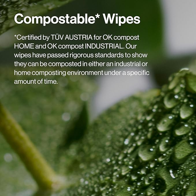 Honest Beauty Fragrance Free Cleansing Makeup Remover Facial Wipes | Plant Based, Hypoallergenic, Gentle for Sensitive Skin | 30 Count-FemmiqueWomen