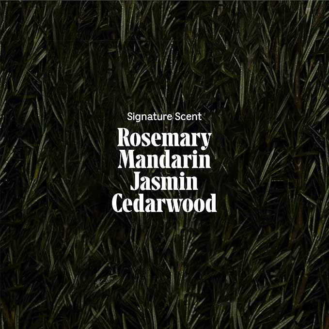 Nécessaire Rosemary Hair Duo - Rosemary Shampoo and Conditioner for Women + Men. Rosemary Oil + Proteins For Stronger Hair. Good for All Hair Types/Textures. 250 ml / 8.4 fl oz-FemmiqueWomen