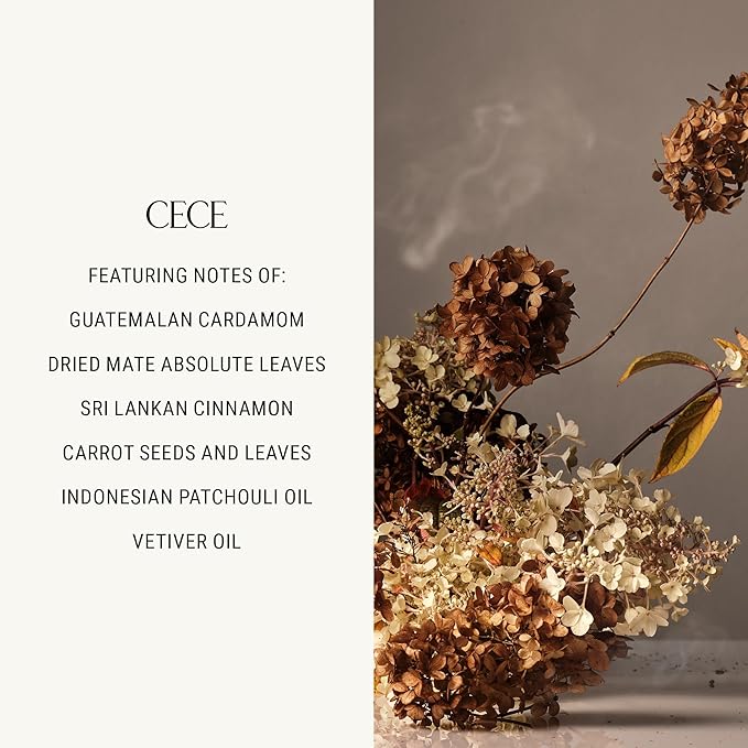 Homecourt Hand Wash, Gently Cleanses & Hydrates, Removes Dirt & Debris Without Irritating Skin, Clean Formula, Cece, 12 fl oz-FemmiqueWomen