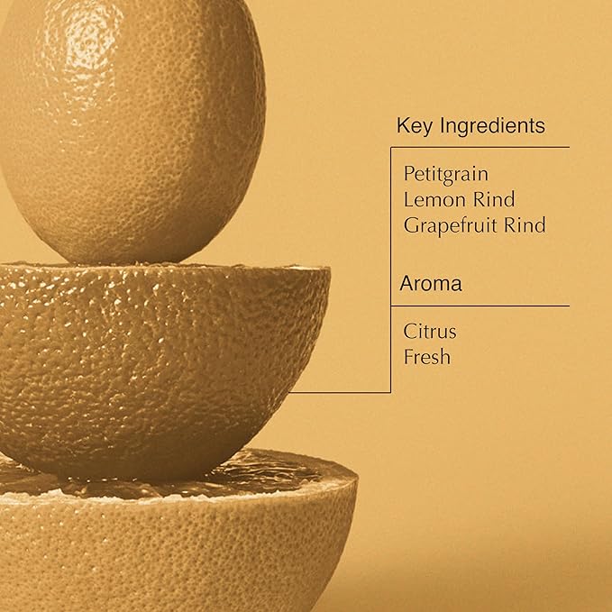 Aesop Citrus Melange Body Cleanser | Gentle Low-Foaming Gel Cleanser For Skin | Citrus Aroma with Botanical Extracts | 16.9 oz / 500 mL-FemmiqueWomen