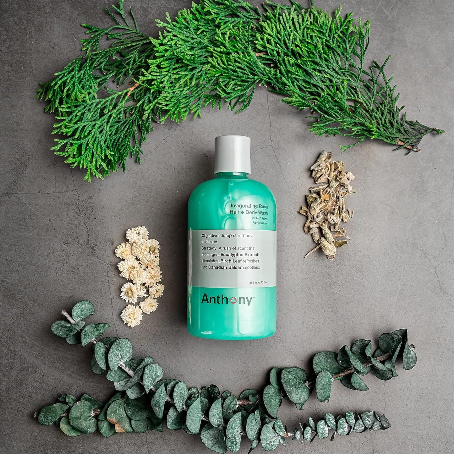 Anthony Mens Body Wash and Shampoo: Invigorating Rush 2-In-1 Liquid Gel Soap & Hair Shampoo, Pine Wood Scent, Hydrating with Eucalyptus, Canadian Balsam, Birch Leaf, Charcoal, Sea Kelp, 12 Fl. Oz-FemmiqueWomen