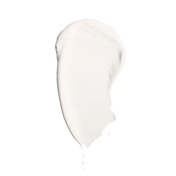 Jerome Alexander My Color Self Adjusting Full Coverage Foundation Makeup with Kabuki Brush (Light)-FemmiqueWomen