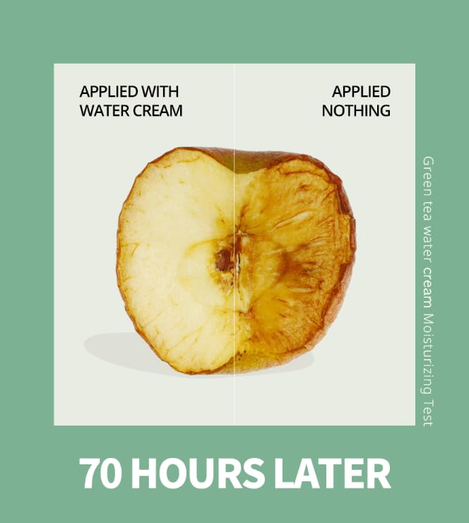 BONAJOUR] Green Tea Water Bomb Vegan Moisturizing Facial Gel Cream for sensitive skin - Daily hydrating Moisturizer 3.38 Fl. oz -FemmiqueWomen