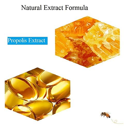 2PCS Lip Balm Honey Pot,Propolis Moisturizing Honey Lip Mask Lip Balm,Hydrating & Prevention Dry and Cracked Lip Scrubs Exfoliator-FemmiqueWomen