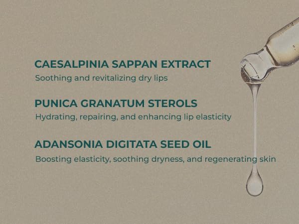 INNA ORGANIC Tinted Lip Serum, Moisturizing, Healing, Light Rosy color, 100% vegan, EWG & COSMOS Certified| Rose Geranium Essential Oils Infused Skincare | Luxury Clean Beauty-FemmiqueWomen