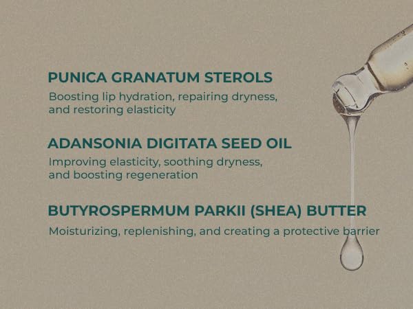 INNA Organic Lip Serum, Moisturizing, Fine Line Care & 100% Vegan, EWG & COSMOS Certified | Frankincense Essential Oils Infused Skin Care | Luxury Clean Beauty-FemmiqueWomen