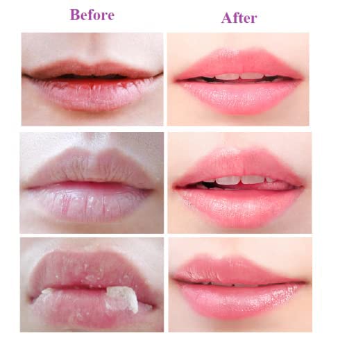 2PCS Lip Balm Honey Pot,Honey & Strawberry Lip Balm, Propolis Moisturizing Honey Lip Mask Lip Balm, Hydrating & Prevention Dry and Cracked Lip Scrubs Exfoliator-FemmiqueWomen