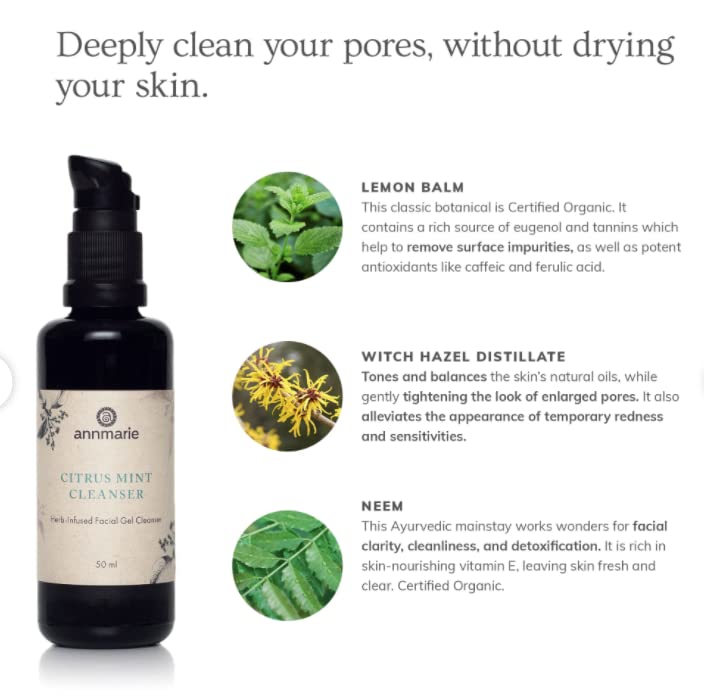 Annmarie Citrus Mint Cleanser (50ml)-FemmiqueWomen